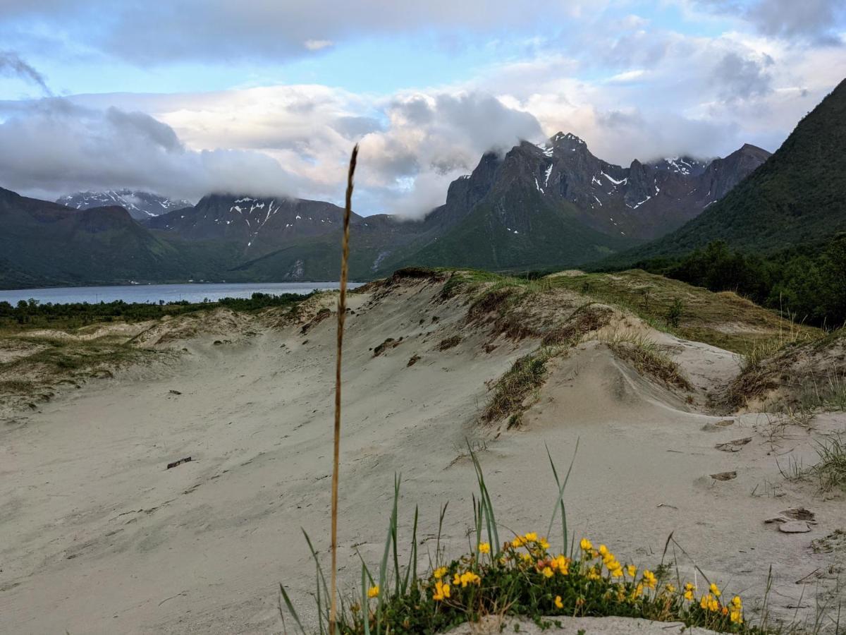 Willa Sommarhus I Lofoten Sand  Zewnętrze zdjęcie